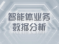 智能體業務數據分析：解鎖商業決策新範式